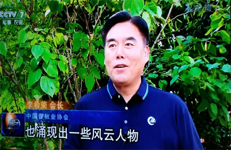 直面国内外挑战