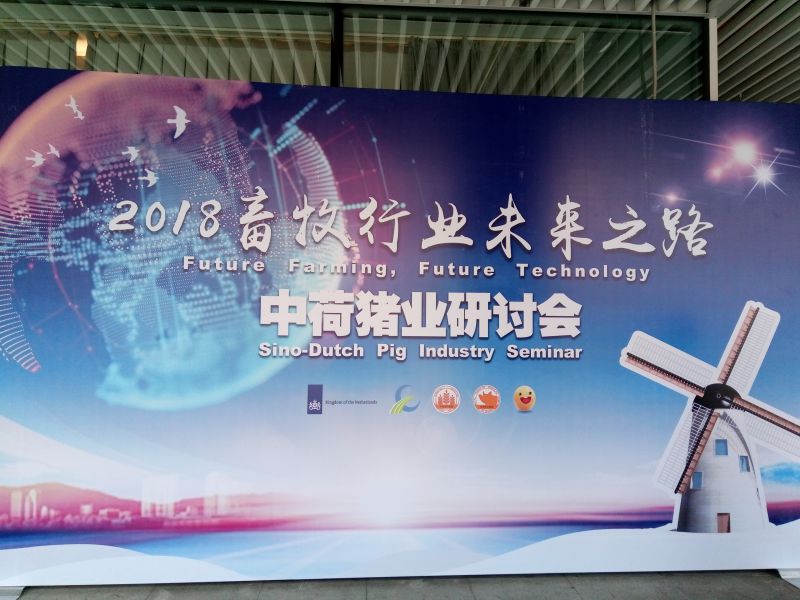 说明: P80518-154532