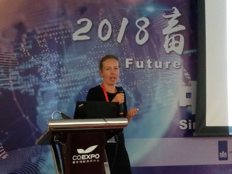 说明: P80518-144209