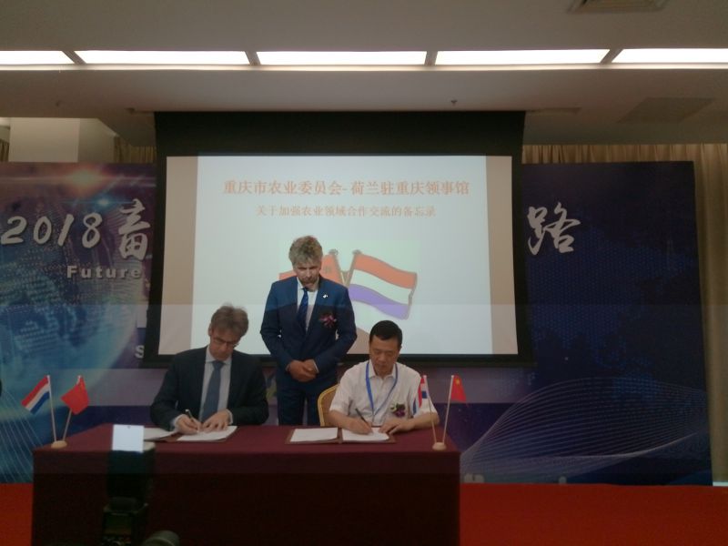 说明: P80518-131747